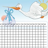 Baby-Plan Zykluskalender