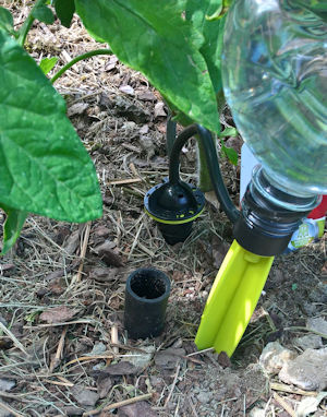 Gartenbewässerung mit Tröpfchensystem