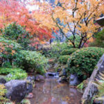 Der Japanische Garten: Ein Ort der Ruhe und Harmonie